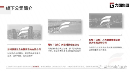 产业联合促发展-商会走访江苏力国置业集团有限公司(图11)