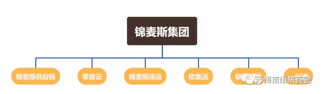 商会走访理事单位-锦麦斯供应链管理（苏州）有限公司(图10)