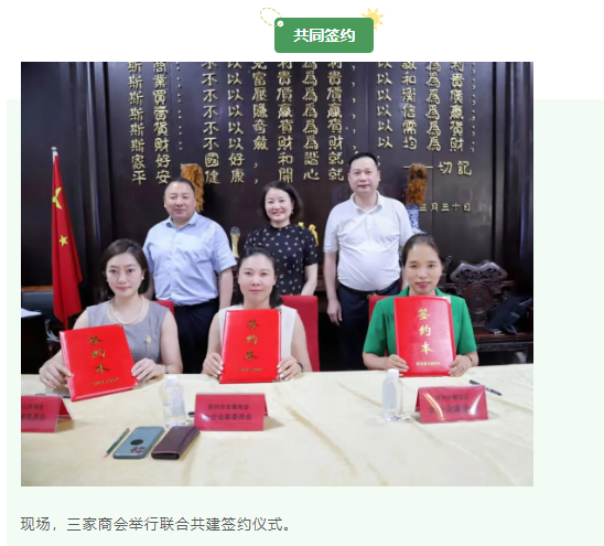 鲁相巾帼情 徽商创享汇-苏州市山东商会女企业家委员会联合举办交流座谈会(图6)