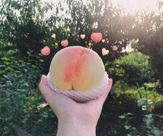 会员专享平台第4期 渚友农场无锡水蜜桃 金奖品质！ 王先生139 1310 7878(图1)