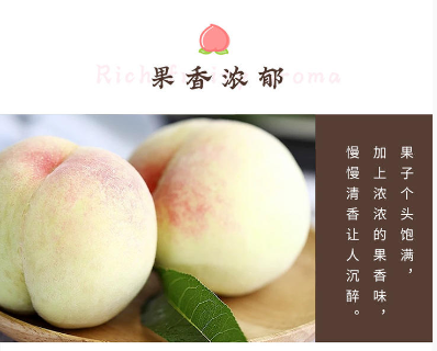 会员专享平台第4期 渚友农场无锡水蜜桃 金奖品质！ 王先生139 1310 7878(图4)