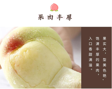 会员专享平台第4期 渚友农场无锡水蜜桃 金奖品质！ 王先生139 1310 7878(图6)