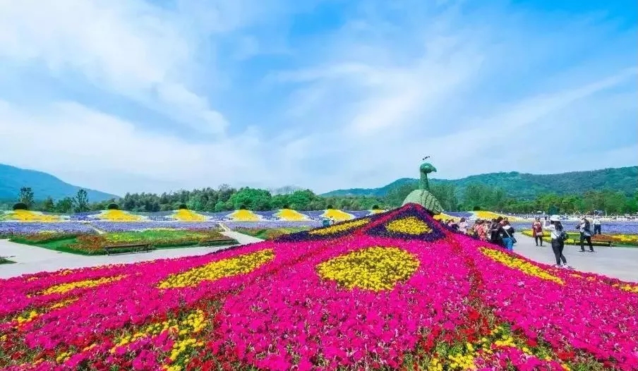 阳春花谷景区图片