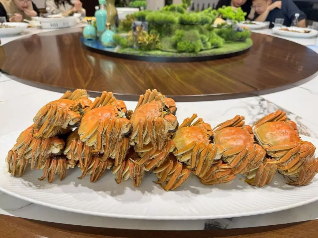 苏州市山东商会茶文化委员会举办“品茶论蟹—霜降品鉴会(图14) 苏州市山东商会茶文化委员会举办“品茶论蟹—霜降品鉴会(图14)